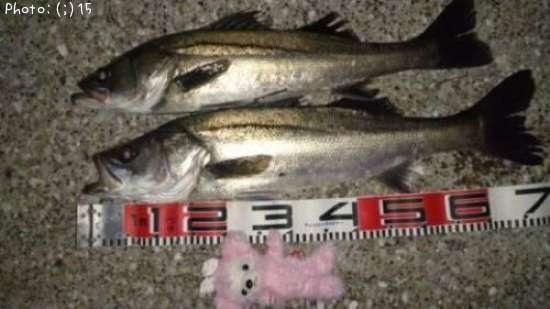 �����Ф�