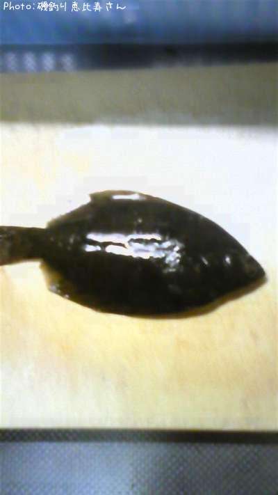 �ޥ����쥤