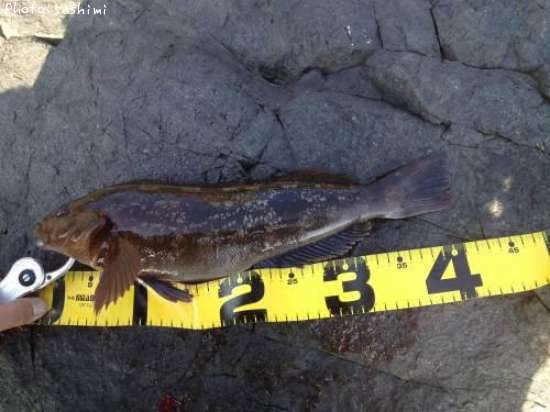 �����ʥ�