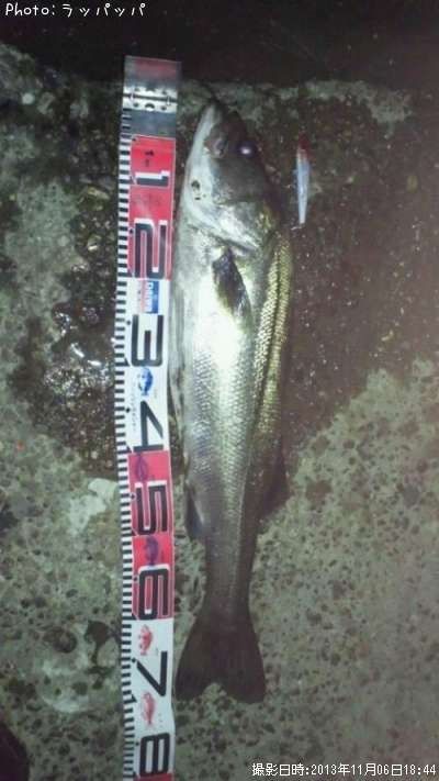 �����Х�