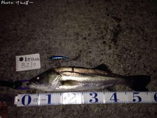 �����Х�