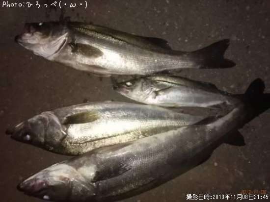 �����Х�