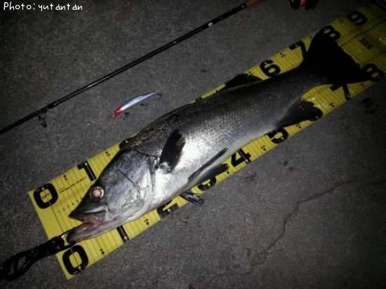 �ҥ饹����