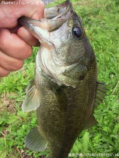 �֥�å��Х�