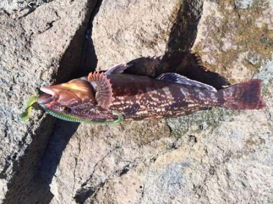 �����ʥ�