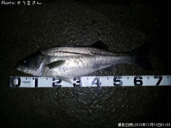 �����Х�