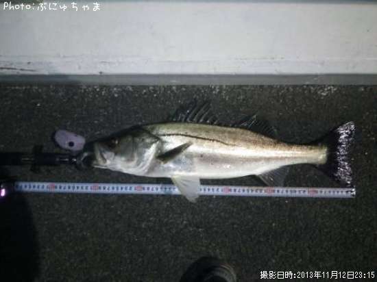 �����Х�