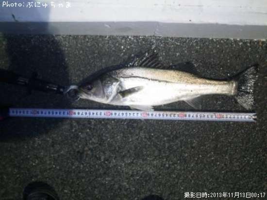 �����Х�