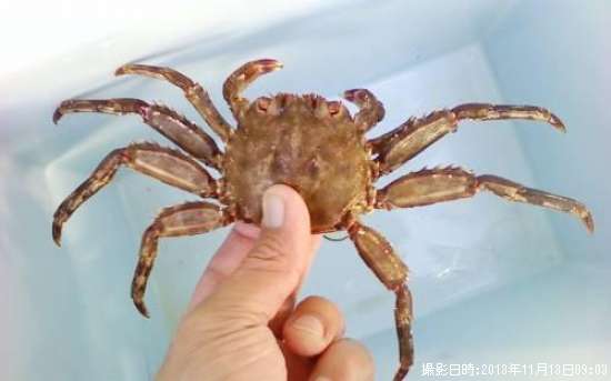 ���ˤ����