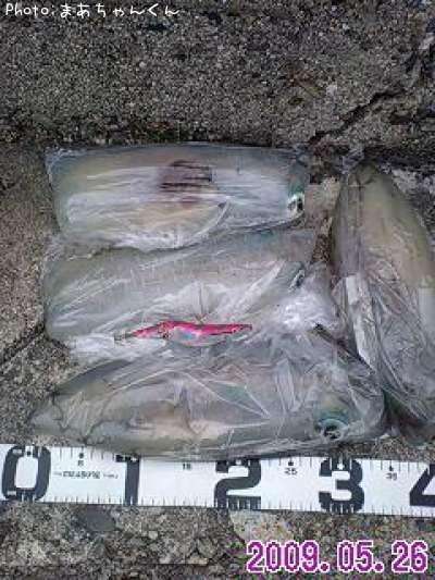 �����ꥤ��