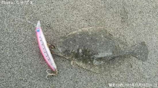 ������Ϻ