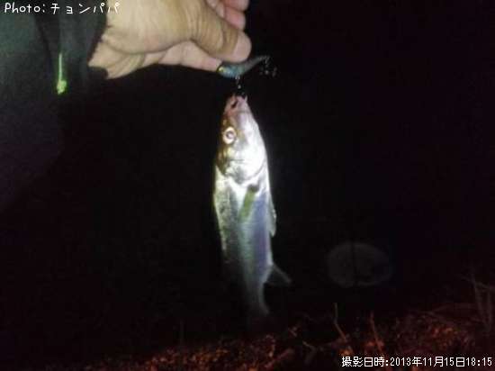 �����Х��ʥ����Х���