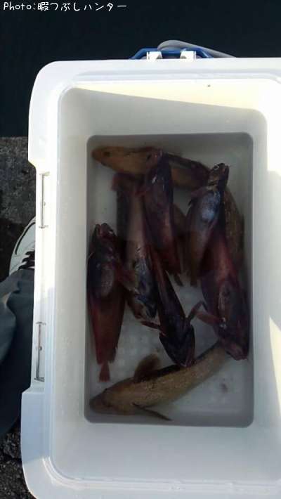 �����ʥᡢ�ɥ�