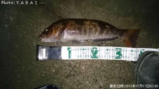 �����ʥ�