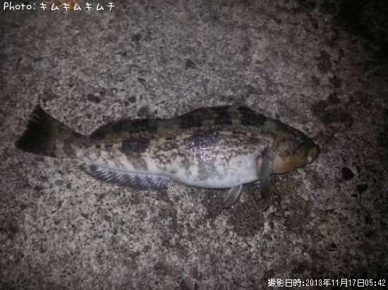 �����ʥ�