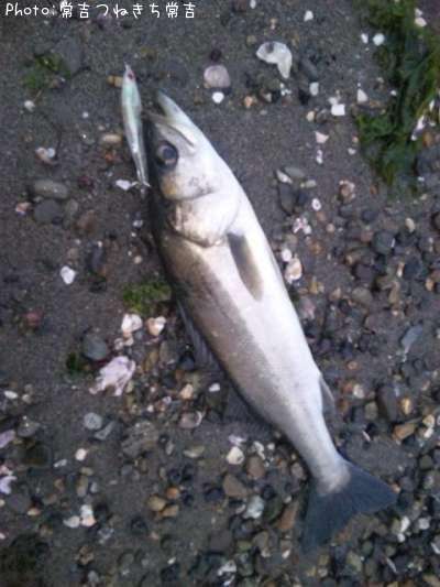 �����Х�