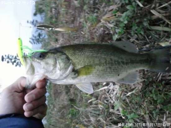 �֥�å��Х�