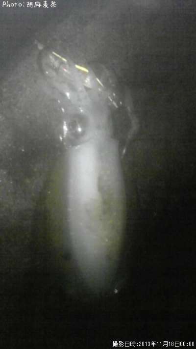 �����ꥤ��