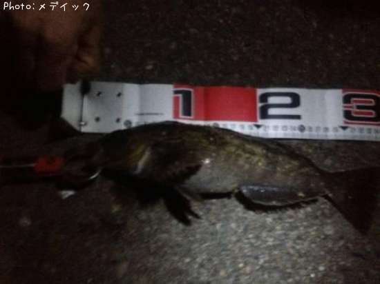 �����ʥ�