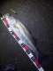 �����Х�