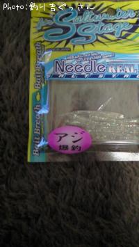 Needle realfry2