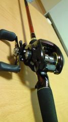 �������ԥ���xt 1501-7
