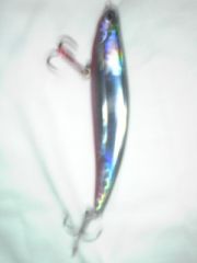 �ȥ�˥ƥ�S100