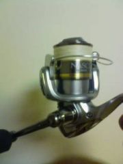 �ʥ�����2000c