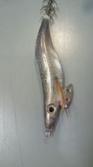 ������Q  3.5��