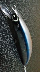 ��ƻheavysurfer