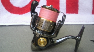 10���ƥ�C2500SHG