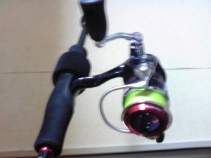����� MX2004