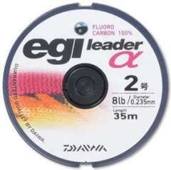 egi leader �� 2��