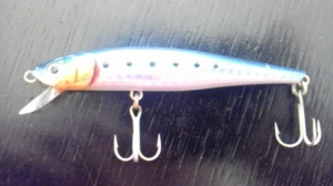 SEABASS HUNTER��S
