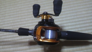 AIRD/�������ɡ�100H(���ϥ�ɥ롡6.3:1)