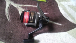 ���󥰥��ץ�󥿡� ST1000B